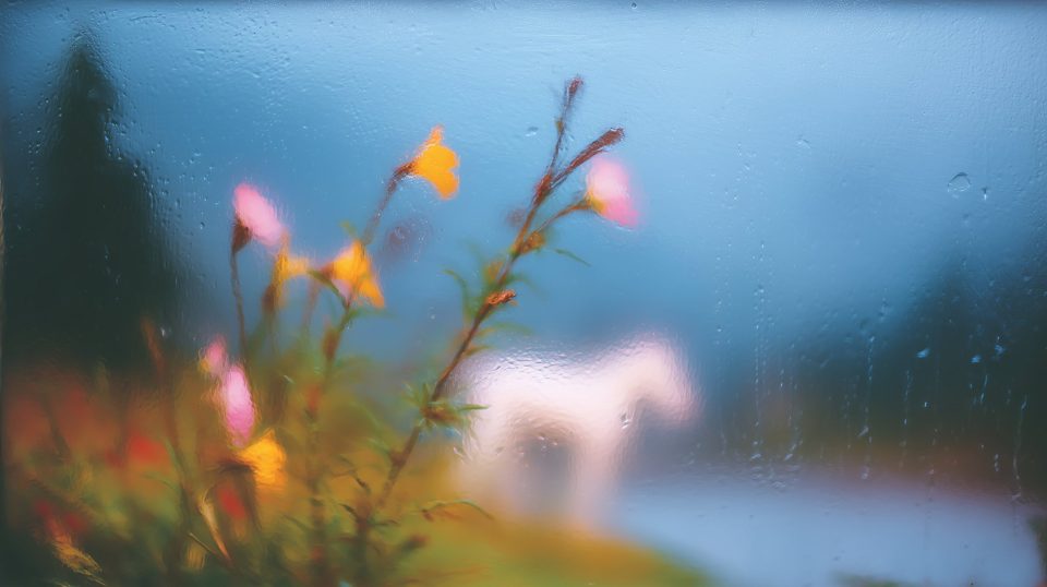 雨窗外的印象派 — AI image by Nick St. Pierre
