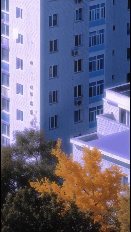通往2001年的门 — AI video by weirdo_chen