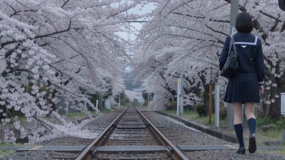 樱下道口 — AI video by Maha