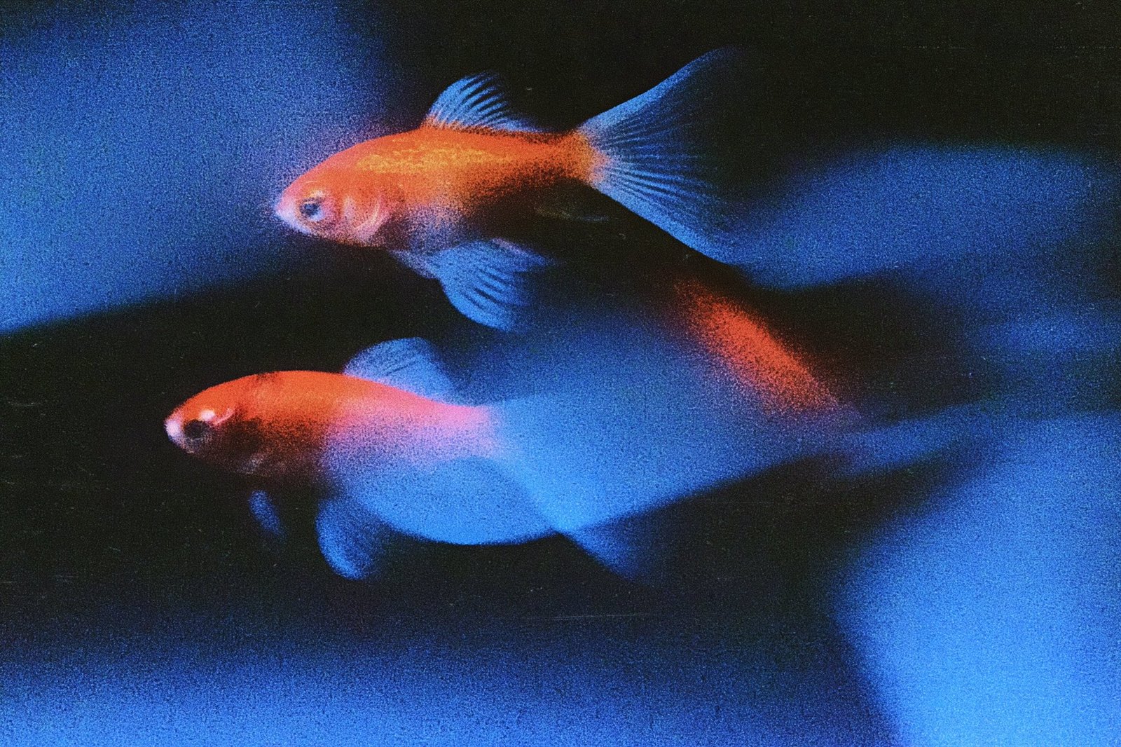Motion-Blur Blue — AI image 2