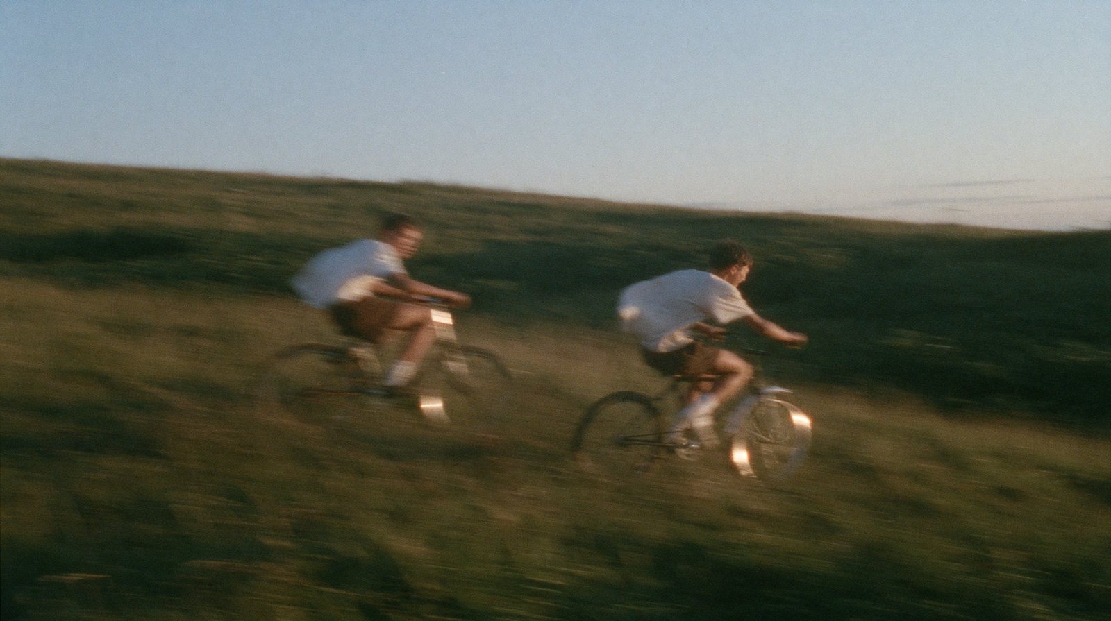 Summer Afternoon Light — AI image 3